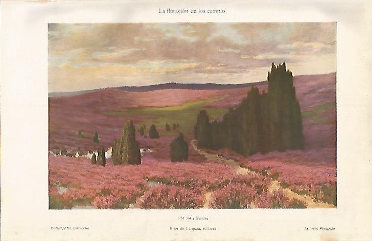 LAMINA ESPASA 3369: La floracion de los campos por Sofia Wencke