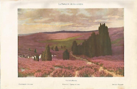 LAMINA ESPASA 3369: La floracion de los campos por Sofia Wencke