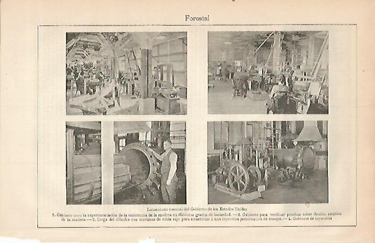 LAMINA ESPASA 3415: Laboratorio forestal de Estados Unidos