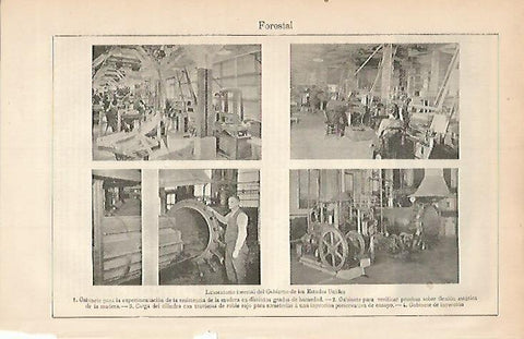 LAMINA ESPASA 3415: Laboratorio forestal de Estados Unidos