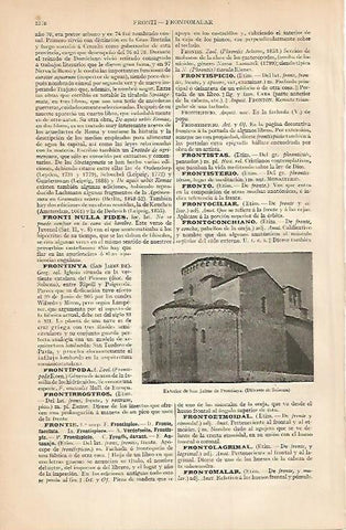 LAMINA ESPASA 3535: Iglesia de Sant Jaume de Frontanya Lleida