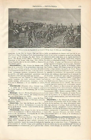 LAMINA ESPASA 3611: Ultima revista de Napoleon a sus tropas el 18 de junio de 1815 por Priusep