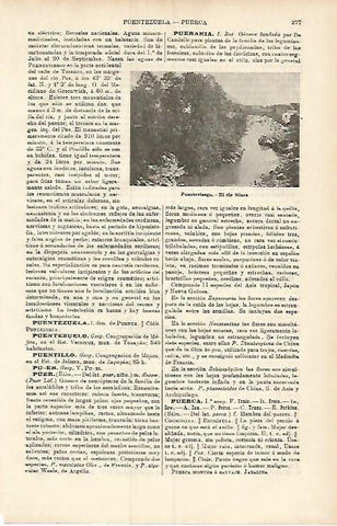 LAMINA ESPASA 3734: Rio Miera enn Puenteviesgo Santander