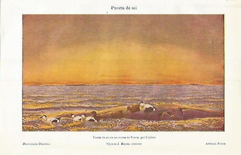 LAMINA ESPASA 3767: Puesta de sol en las costas de Suecia por Liljefors