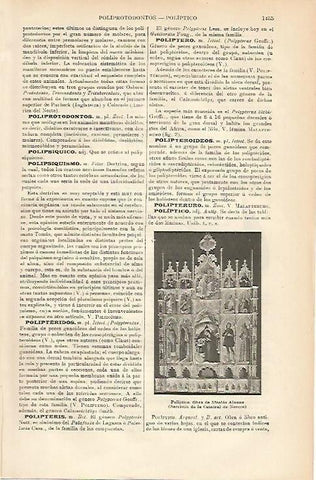 LAMINA ESPASA 3351: Poliptico de Nicolas Alunno