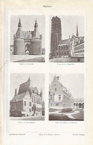 LAMINA ESPASA 3929: Edificios de Malinas Belgica