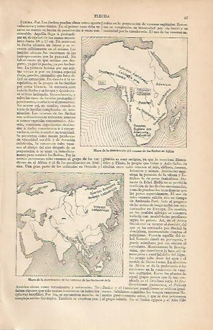 LAMINA ESPASA 3355: Mapa de la distribucion del veneno de las flechas en Africa y Asia