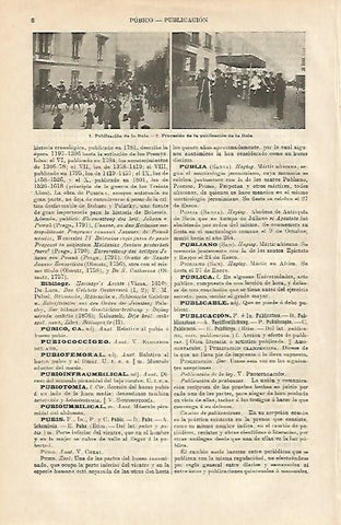 LAMINA ESPASA 3673: Publicacion de la Bula