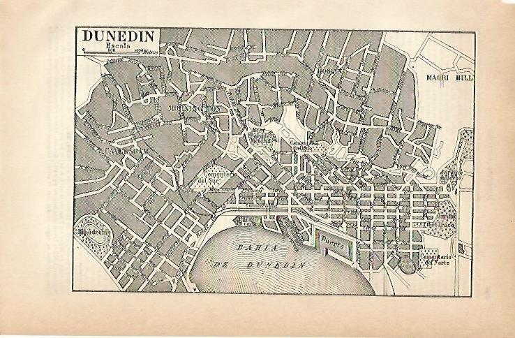 LAMINA ESPASA 3174: Plano de Dunedin Nueva Zelanda