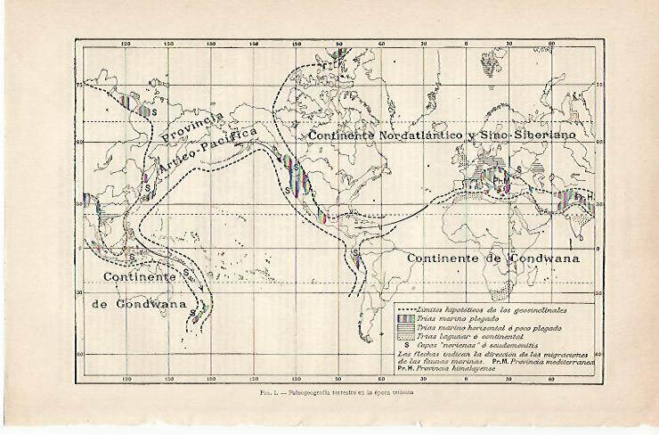 LAMINA ESPASA 20392: Mapa de la paleogeografia terrestre en epoca triasica