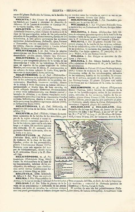 LAMINA ESPASA 21614: Plano de Helgoland Alemania