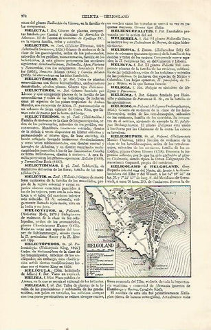 LAMINA ESPASA 21614: Plano de Helgoland Alemania