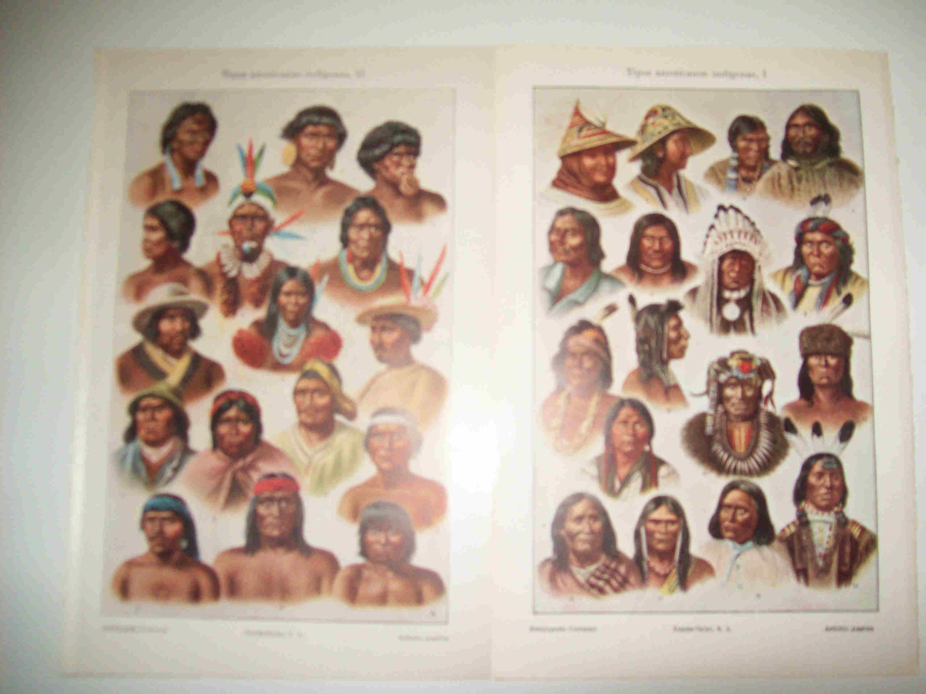 LAMINA ESPASA 23684: Indigenas de America