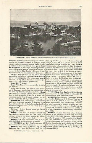 LAMINA ESPASA 24171: Lago  Mohonk