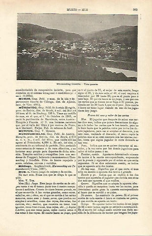 LAMINA ESPASA 24569: Vista de Murzzuschlag en Austria
