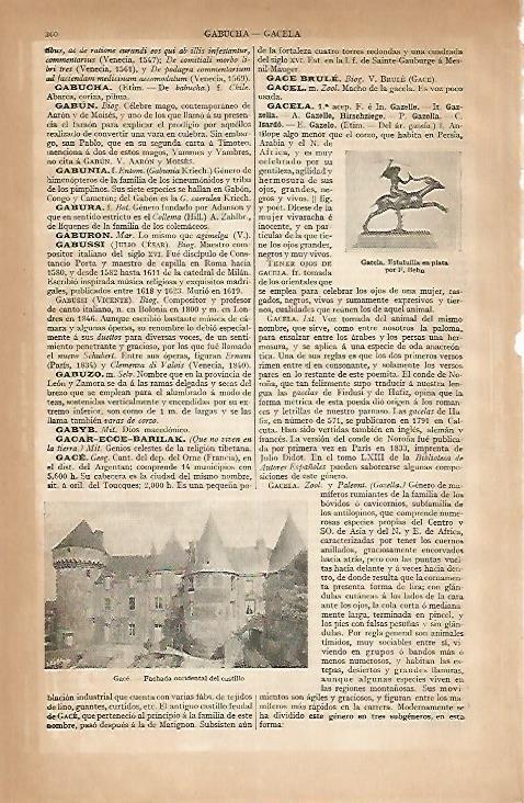 LAMINA ESPASA 24776: Castillo de Gace