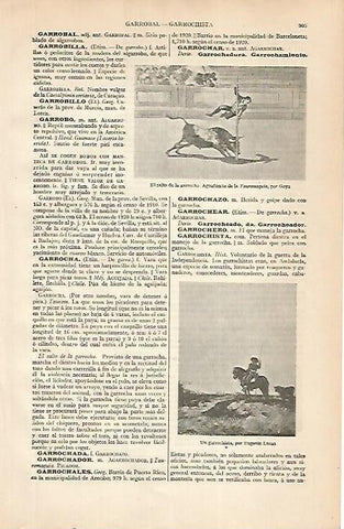 LAMINA ESPASA 24889:El salto de la garrocha por Goya