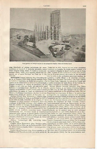 LAMINA ESPASA 24911: Templo de la Sagrada Familia 