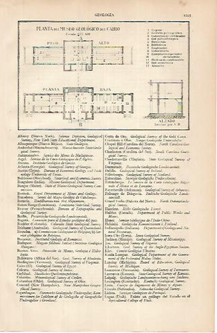 LAMINA ESPASA 24943: Planta del Museo Geologico de El Cairo