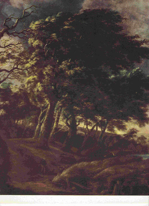 LAMINA 6707: Jakob Van Ruysdael Paisaje