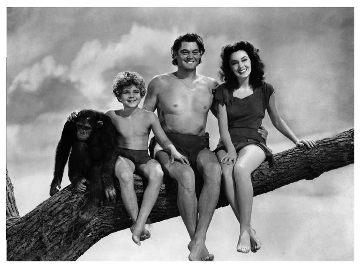 Postal / Postcard: El Boletin serie 7: numero 12 de 12: Tarzan y Jane: Johnny Weissmuller y Maureen O'sullivan  y Johnny Sheffield  