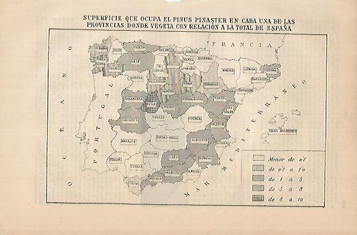 LAMINA DE ESPASA 444: Mapa del Pinus Pinaster en España