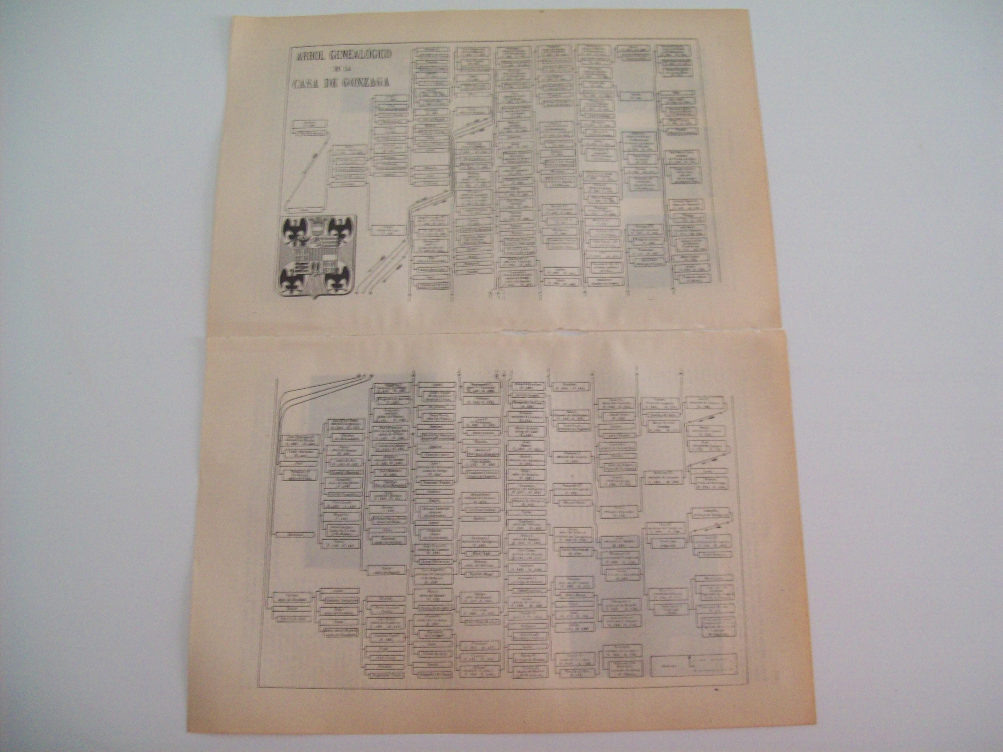 LAMINA ESPASA 2131: Arbol genealogico de la Casa de Gonzaga