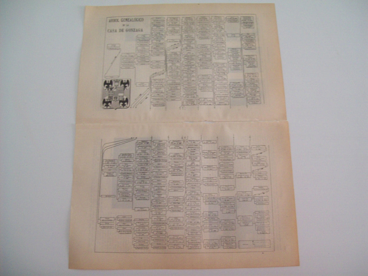 LAMINA ESPASA 2131: Arbol genealogico de la Casa de Gonzaga