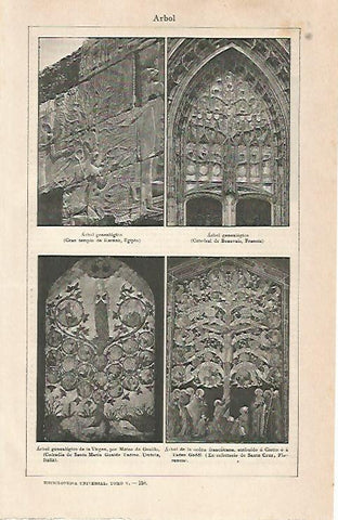 LAMINA ESPASA 7102: Arbol genealogico