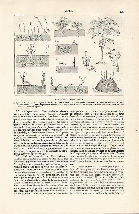 LAMINA ESPASA 8032: Acodos de diversas formas