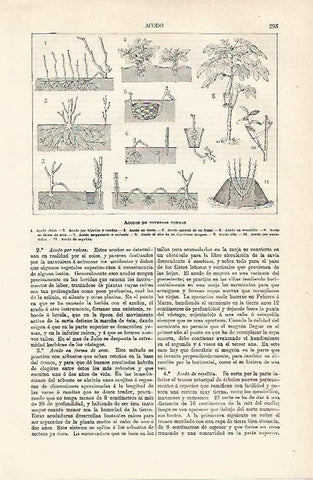 LAMINA ESPASA 8032: Acodos de diversas formas
