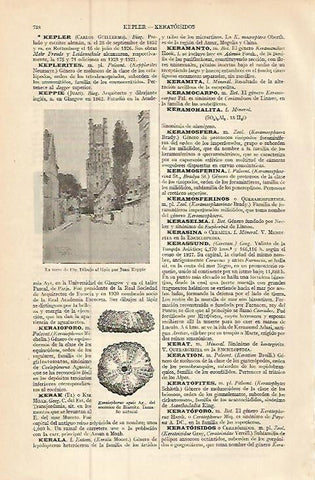 LAMINA ESPASA 9263: La torre de Elly dibujo de Keppie