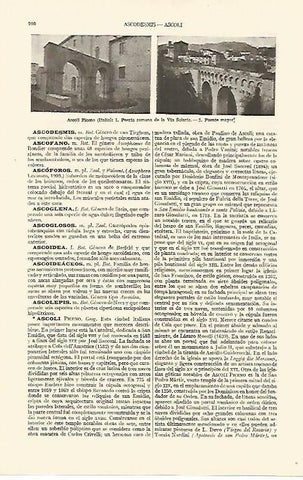 LAMINA ESPASA 10896: Vistas de Ascoli Piceno Italia