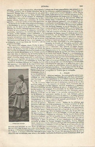 LAMINA ESPASA 16444: Campesina de Noruega