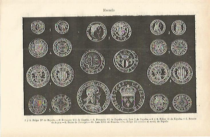 LAMINA ESPASA 16630: Escudos de Reyes