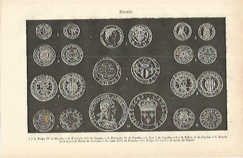 LAMINA ESPASA 16630: Escudos de Reyes