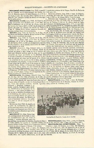 LAMINA ESPASA 16977: Las aguilas de Napoleon por Rouffet