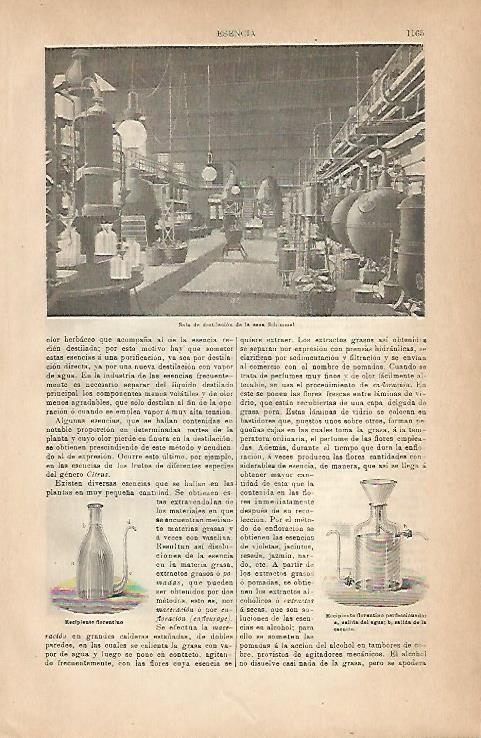 LAMINA ESPASA 18969: Sala de destilacion de la casa Schimmel