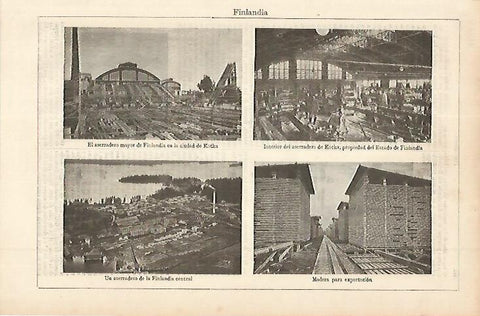 LAMINA ESPASA 11320: Aserraderos de Finlandia