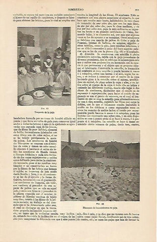 LAMINA ESPASA 7518: Trenzado de la paja