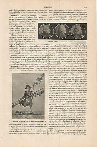 LAMINA ESPASA 17944: El vendedor de pelucas