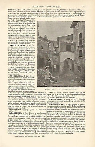LAMINA ESPASA 6726: Rincon de Roccaraso Italia