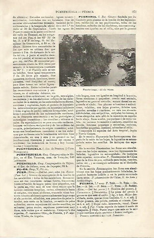 LAMINA ESPASA 23078: El rio Miera en Puenteviesgo