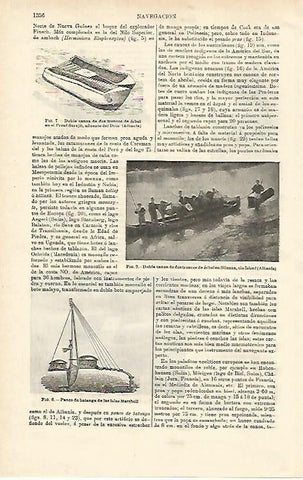 LAMINA ESPASA 24701: Doble canoa