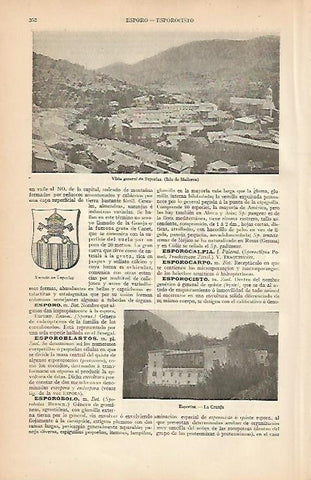 LAMINA ESPASA 7997: Vista general de Esporlas Mallorca