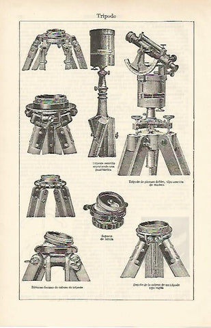 LAMINA ESPASA 881: Tipos de tripode