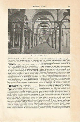 LAMINA ESPASA 5538: Mezquita de  Amru en El Cairo Egipto