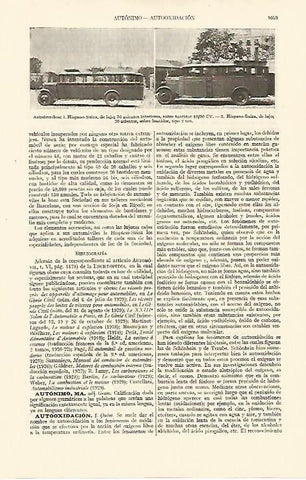 LAMINA ESPASA 10910: Automoviles de Hispano Suiza