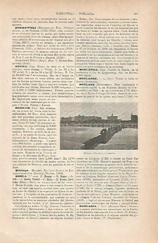 LAMINA ESPASA Alemania 11752: Playa de Borkum Alemania