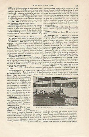 LAMINA ESPASA 12969: Canoa de Eduardo VII de Inglaterra